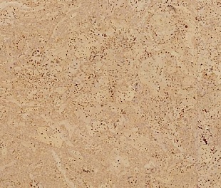 Пробковый пол Corkstyle Ecocork Madeira Sand замковый