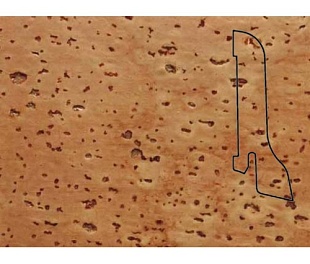 Плинтус Pedross Пробка рустик Шпонированный 55x18x2500 мм